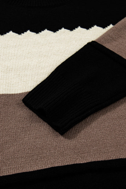 Brown Colorblock Crew Neck Drop Shoulder Sweater