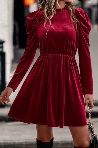 Velvet Frill Neck Swing Dress