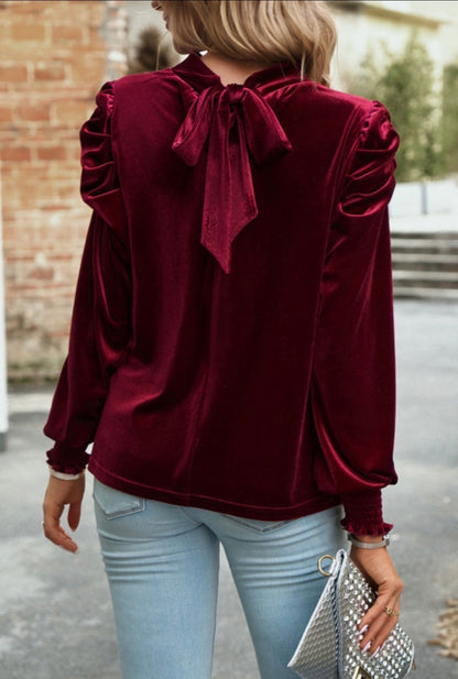 Velvet Puff Sleeve Blouse