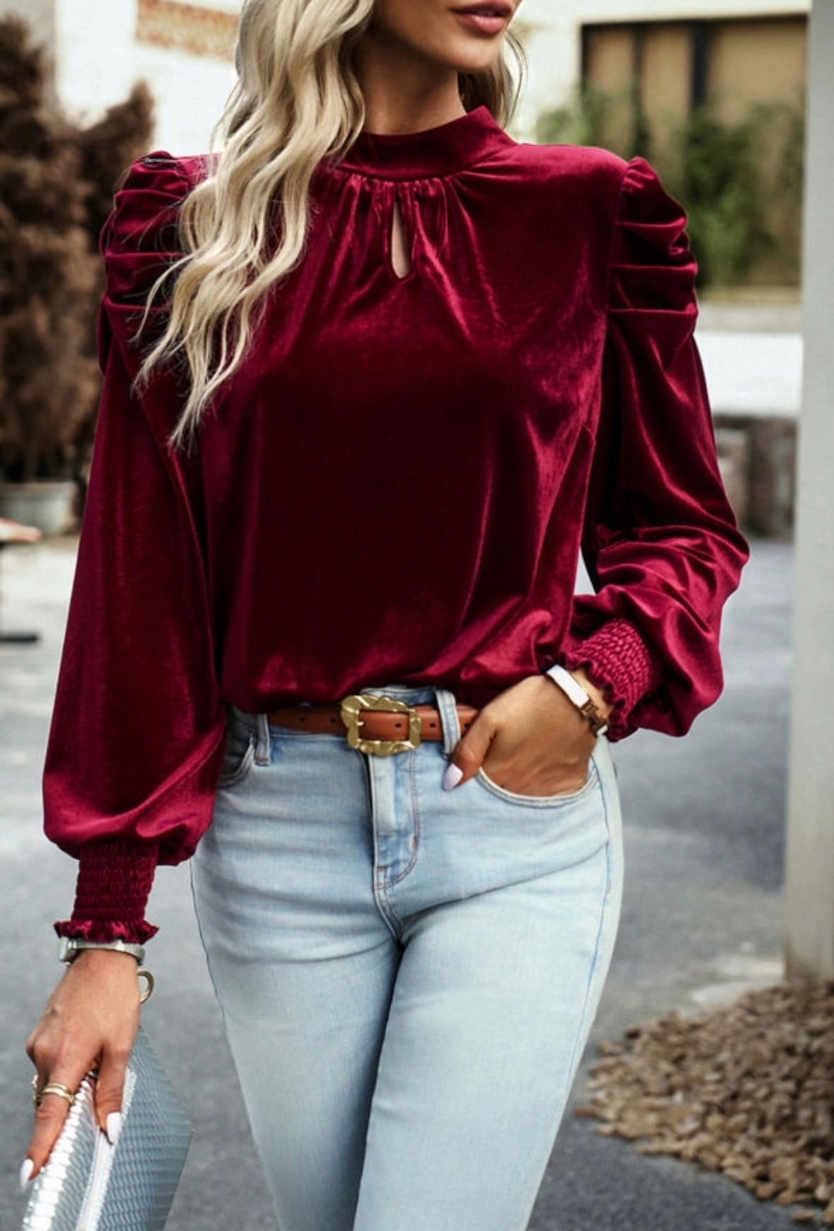 Velvet Puff Sleeve Blouse