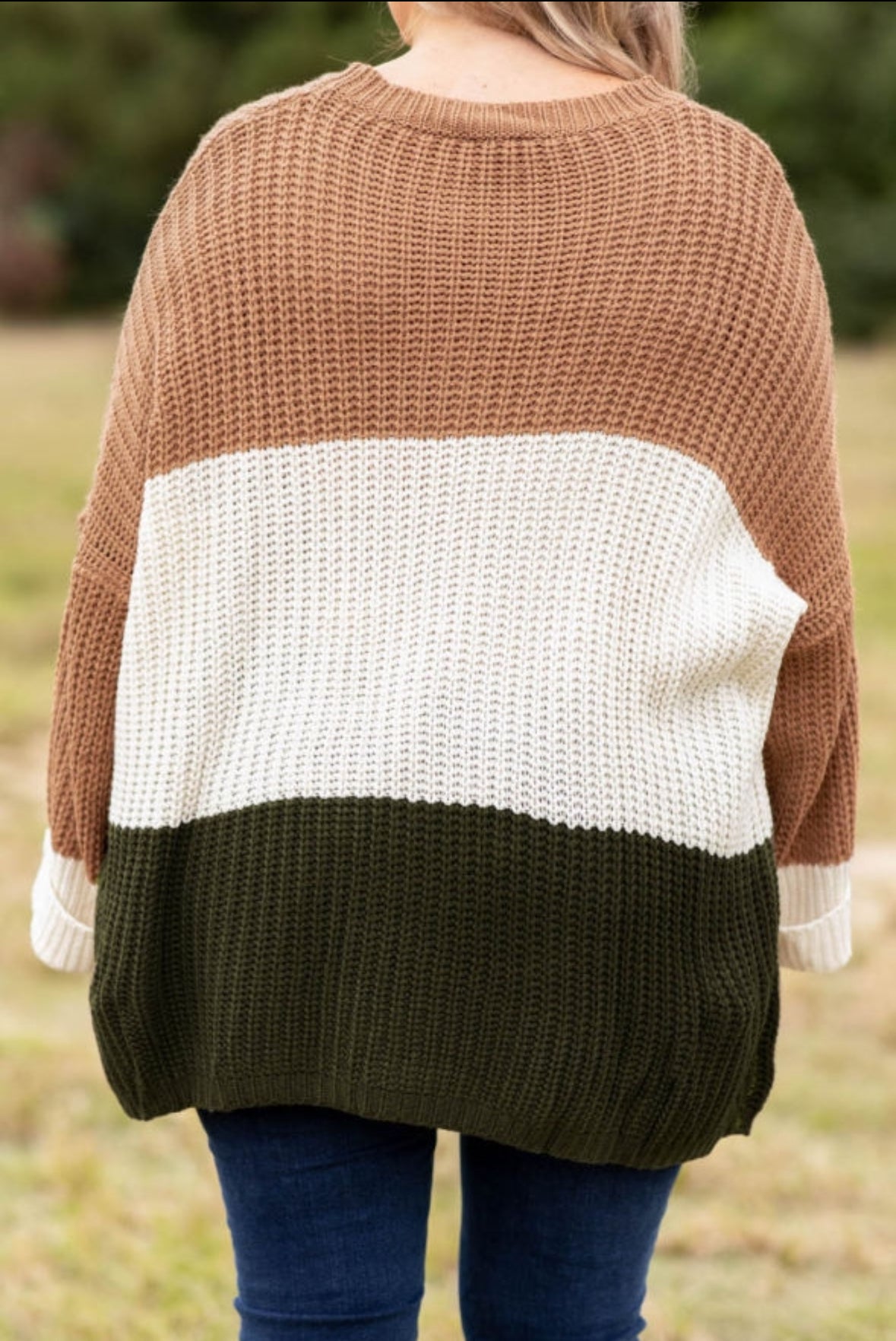 Colorblock Knit Sweater- plus