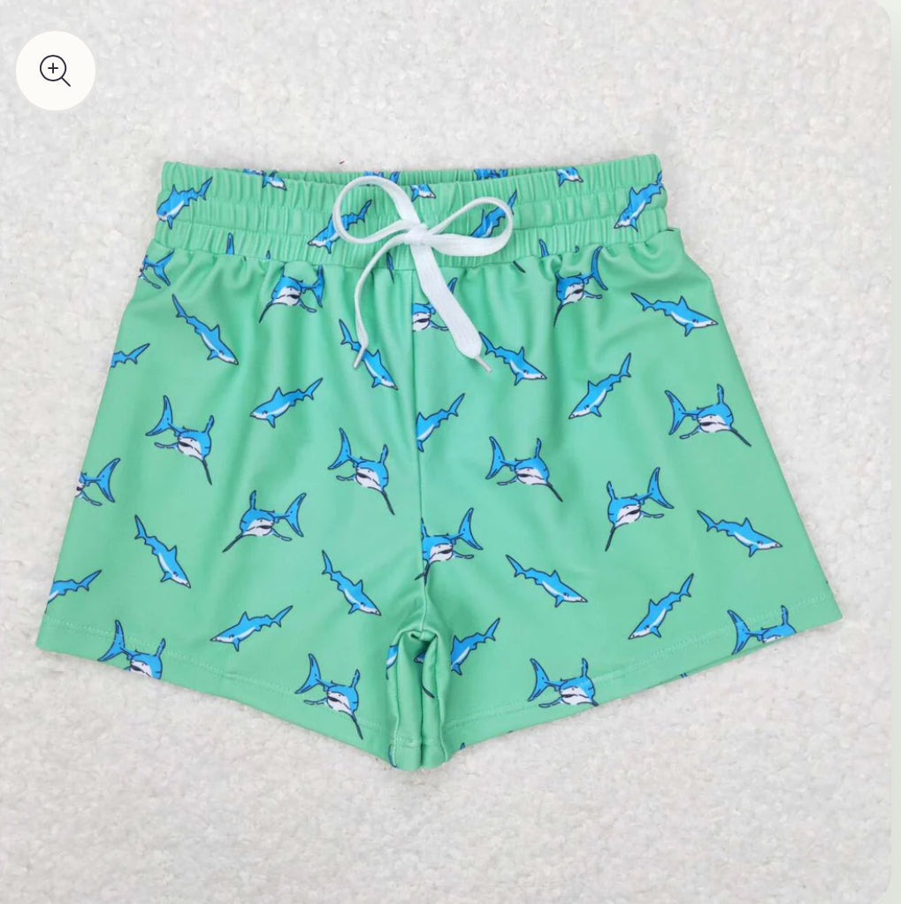 Boy’s Printed Swim Trunks