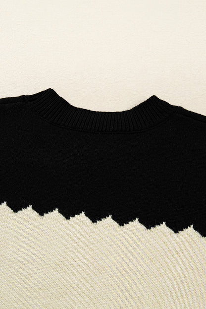 Brown Colorblock Crew Neck Drop Shoulder Sweater